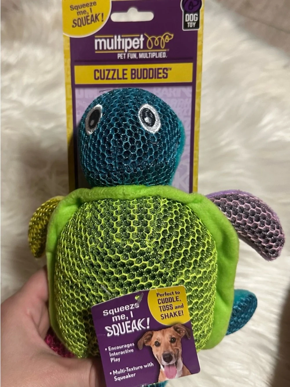 Green & Teal Turtle Squeak Dog Toy and plush dog can